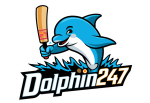 Dolphin 247